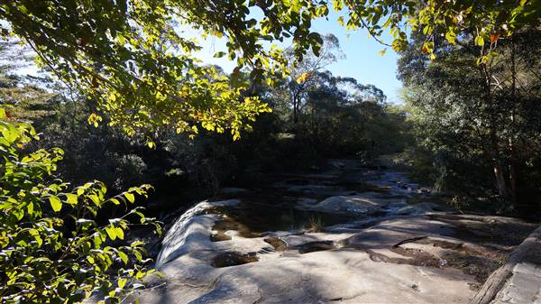 Somersby Falls picnic area - Brisbane Water National Park (4/07/2016 - Credits: Mary Barltrop)