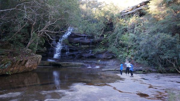 Somersby Falls picnic area - Brisbane Water National Park (4/07/2016 - Credits: Mary Barltrop)