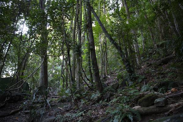 Mount Keira Scout Camp File 1 (5/07/2016)