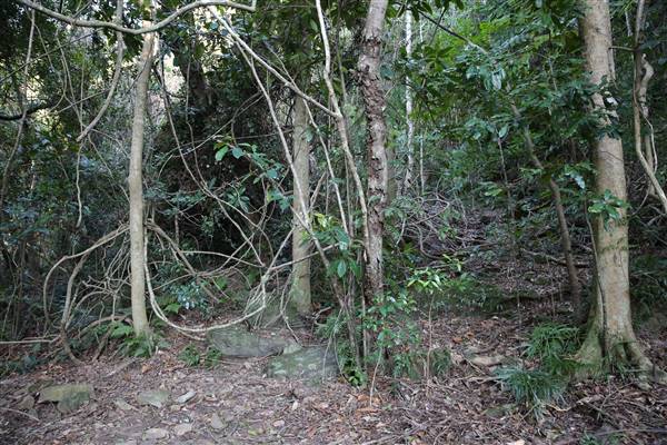 Mount Keira Scout Camp File 1 (5/07/2016)