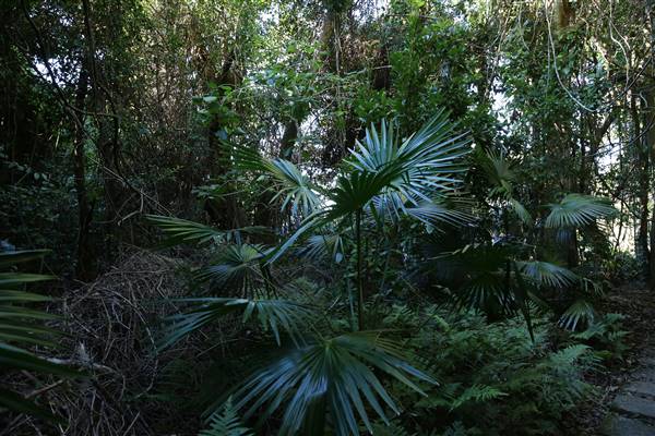 Mount Keira Scout Camp File 1 (5/07/2016)