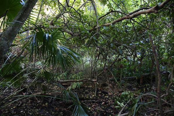 Mount Keira Scout Camp File 1 (5/07/2016)
