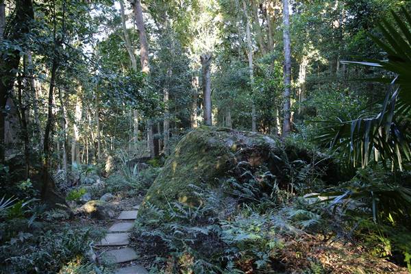 Mount Keira Scout Camp File 1 (5/07/2016)