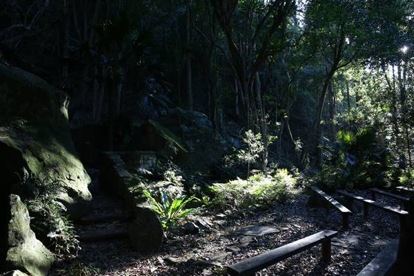 Mount Keira Scout Camp File 1 (5/07/2016)