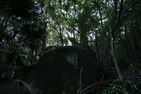 Mount Keira Scout Camp File 1 (5/07/2016)
