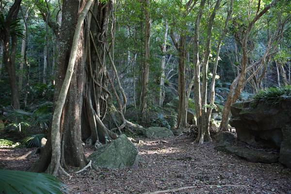 Mount Keira Scout Camp File 1 (5/07/2016)