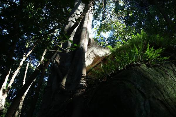 Mount Keira Scout Camp File 1 (5/07/2016)