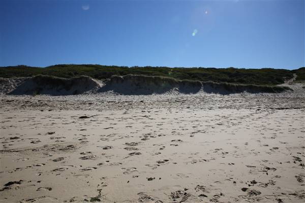 Caves Beach North (18/07/2016)