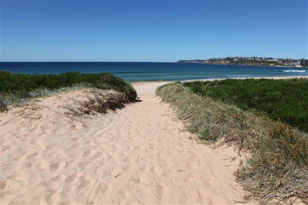 Long Reef Beach (15/10/2016 - Credits: John Harris)