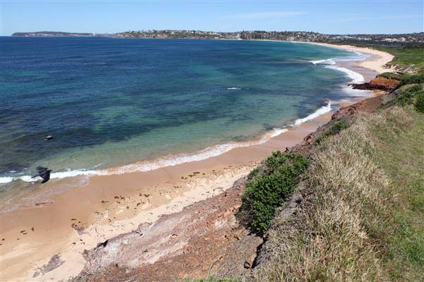 Long Reef Beach (15/10/2016 - Credits: John Harris)