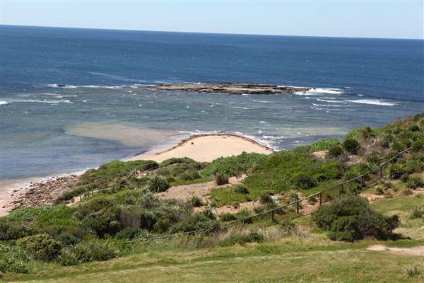 Long Reef Beach (15/10/2016 - Credits: John Harris)