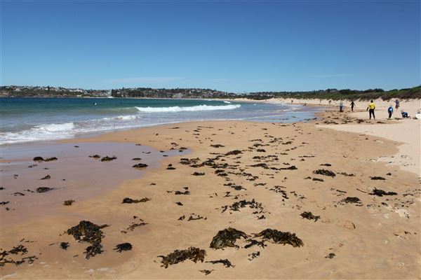 Long Reef Beach (15/10/2016 - Credits: John Harris)