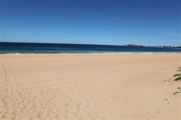 Narrabeen Beach (16/10/2016 - Credits: John Harris)