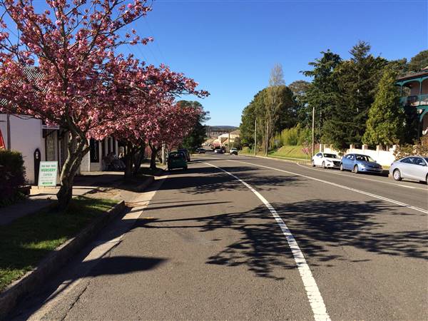 MT VICTORIA MAIN STREET (25/10/2016)