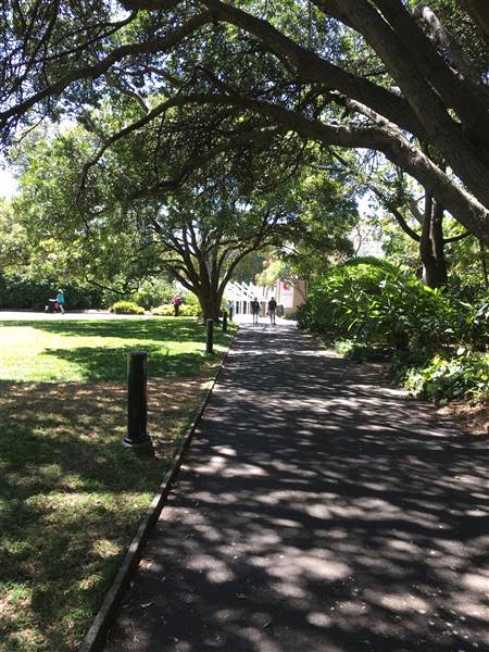 The Calyx - Royal Botanic Garden Sydney (11/11/2016)