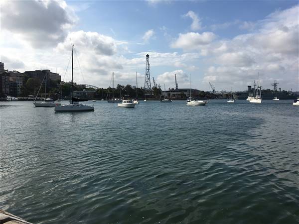 Beare Park Elizabeth Bay Marina (30/11/2016 - Credits: Mechele Axford)