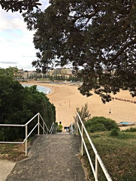 Coogee Beach North - South View (28/11/2016 - Credits: Mechele Axford)