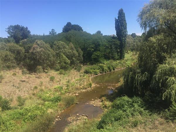 Berrima (16/02/2017 - Credits: Matt Carroll)