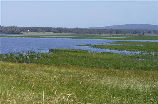 Bega Valley Area (12/07/2017)