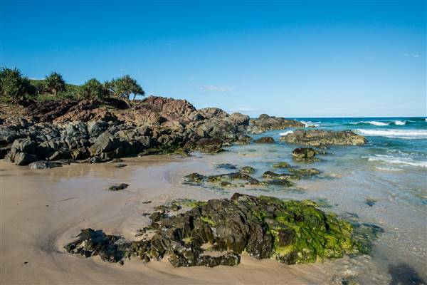 Hastings Point (26/07/2017)