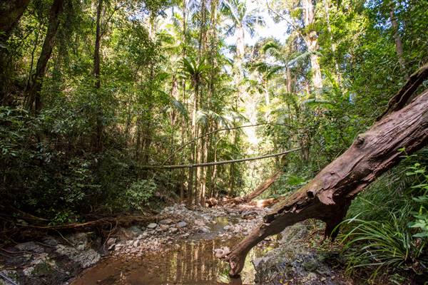 Tunsted Private Property Crystal Creek Valley (1/06/2017 - Credits: Colin McDougall)