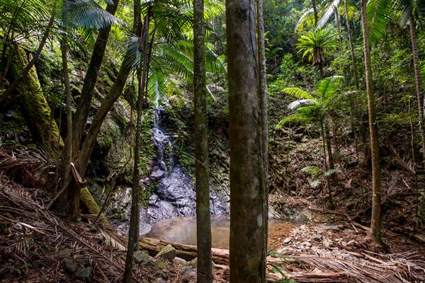 Tunsted Private Property Crystal Creek Valley (1/06/2017 - Credits: Colin McDougall)