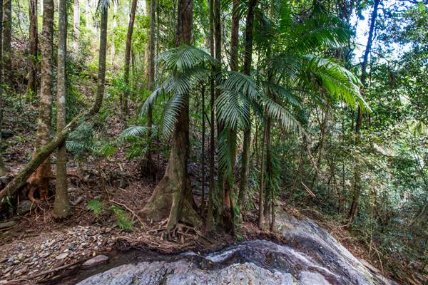 Tunsted Private Property Crystal Creek Valley (1/06/2017 - Credits: Colin McDougall)