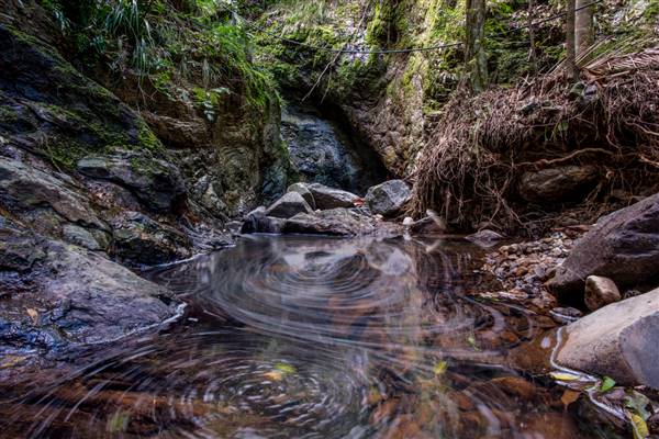 Tunsted Private Property Crystal Creek Valley (1/06/2017 - Credits: Colin McDougall)