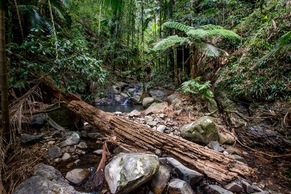 Tunsted Private Property Crystal Creek Valley (1/06/2017 - Credits: Colin McDougall)
