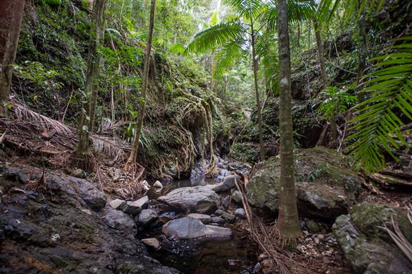 Tunsted Private Property Crystal Creek Valley (1/06/2017 - Credits: Colin McDougall)