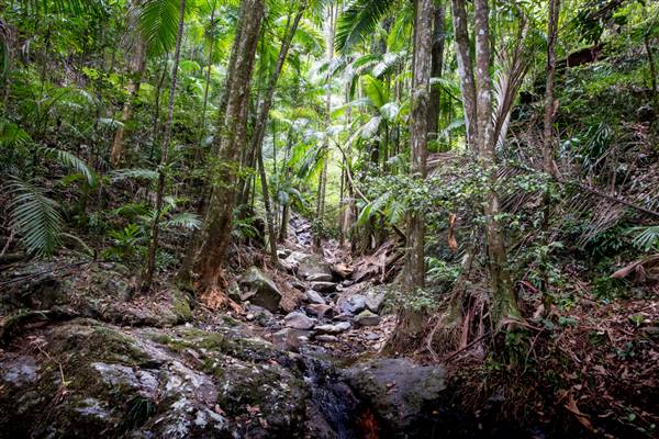 Tunsted Private Property Crystal Creek Valley (1/06/2017 - Credits: Colin McDougal)
