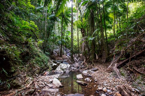 Tunsted Private Property Crystal Creek Valley (8/06/2017 - Credits: Colin McDougal)