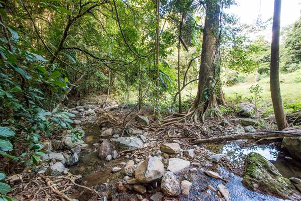 Tunsted Private Property Crystal Creek Valley (8/06/2017 - Credits: Colin McDougal)