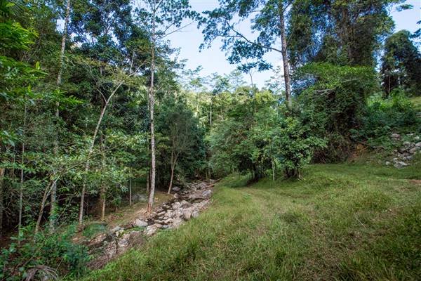 Tunsted Private Property Crystal Creek Valley (8/06/2017 - Credits: Colin McDougal)