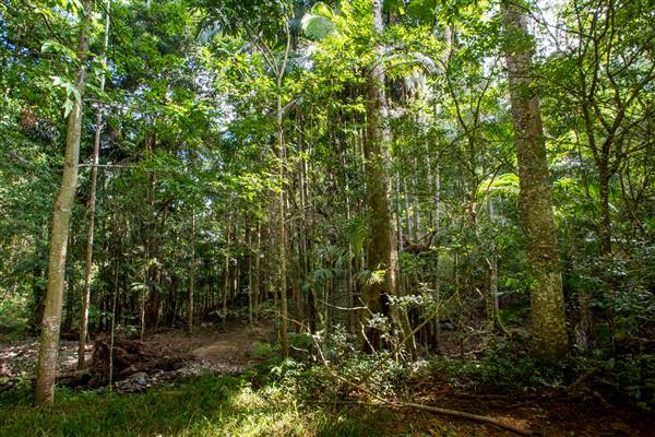 Tunsted Private Property Crystal Creek Valley (8/06/2017 - Credits: Colin McDougal)