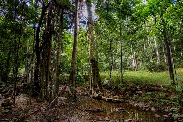 Tunsted Private Property Crystal Creek Valley (8/06/2017 - Credits: Colin McDougal)
