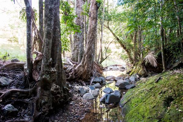 Tunsted Private Property Crystal Creek Valley (1/06/2017 - Credits: Colin McDougal)