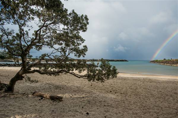 Brunswick Head Estuaries 2017 (27/07/2017 - Credits: Colin McDougall)