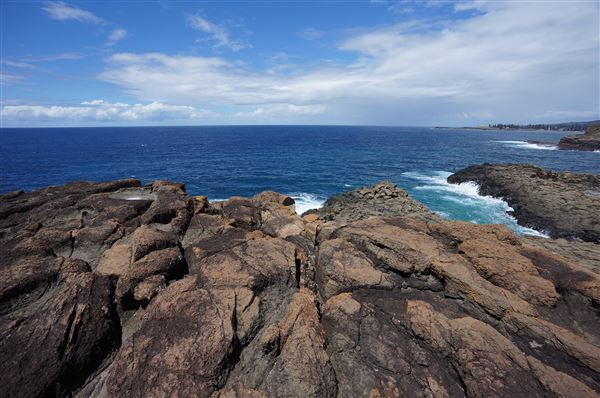Bombo Headland Quarry (2/02/2018 - Credits: Mary Barltrop)