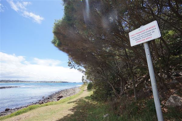 Cameron Boyd Reserve (2/02/2018 - Credits: Mary Barltrop)