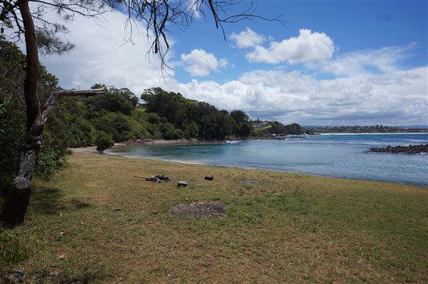 Cameron Boyd Reserve (2/02/2018 - Credits: Mary Barltrop)