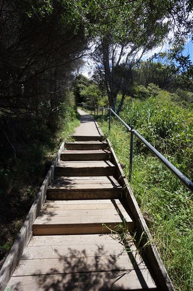 Cameron Boyd Reserve (2/02/2018 - Credits: Mary Barltrop)