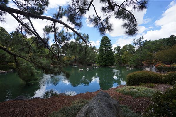 Auburn Botanic Gardens - Japanese Garden (4/02/2018 - Credits: Mary Barltrop)