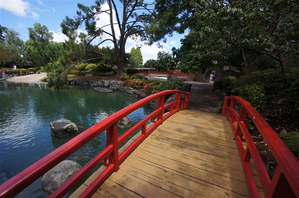 Auburn Botanic Gardens - Japanese Garden (4/02/2018 - Credits: Mary Barltrop)