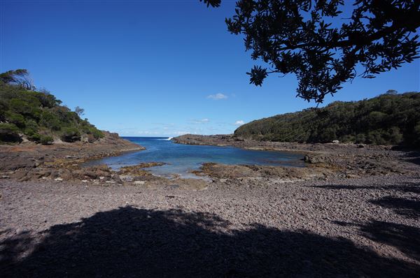 Bass Point Reserve (2/02/2018 - Credits: Mary Barltrop)