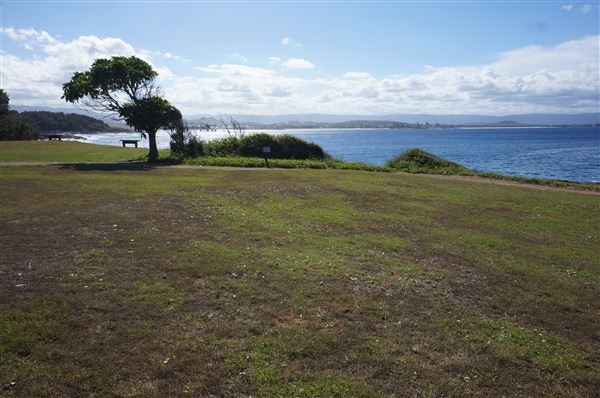 Bass Point Reserve (2/02/2018 - Credits: Mary Barltrop)