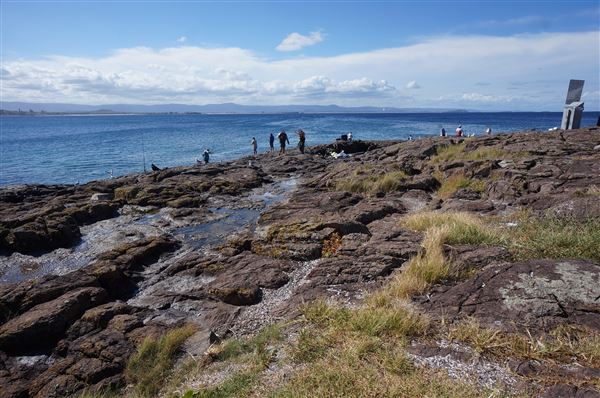 Bass Point Reserve (2/02/2018 - Credits: Mary Barltrop)
