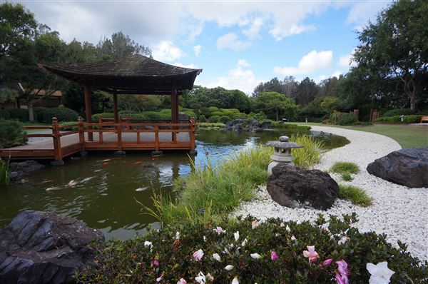 Edogawa Japanese Garden (4/02/2018 - Credits: Mary Barltrop)
