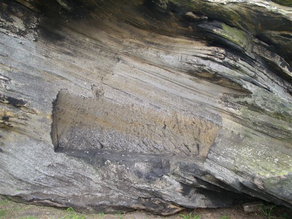 Goat Island (15/02/2018)