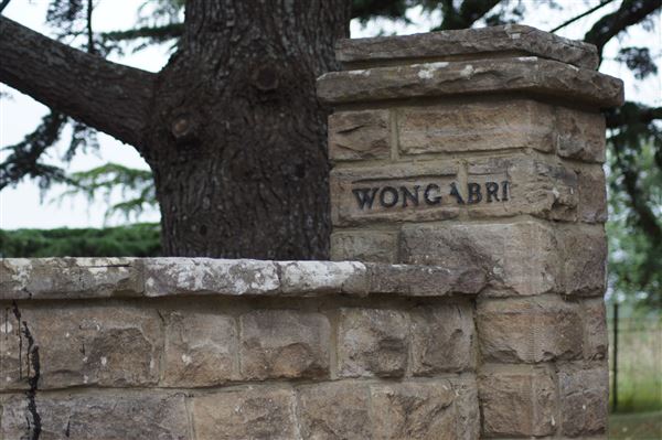'Wongabri' (20/06/2018)